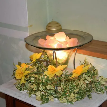 Rohrbacher Hof Penzion 3*