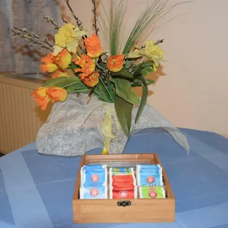 Rohrbacher Hof Guest house 3*