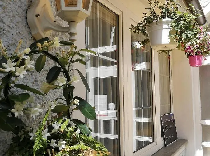 Πανσιόν Rohrbacher Hof Berg bei Rohrbach