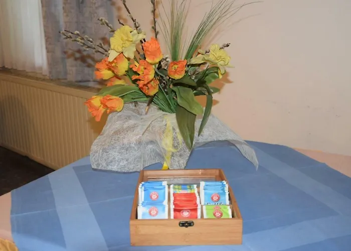 Rohrbacher Hof Penzion 3*